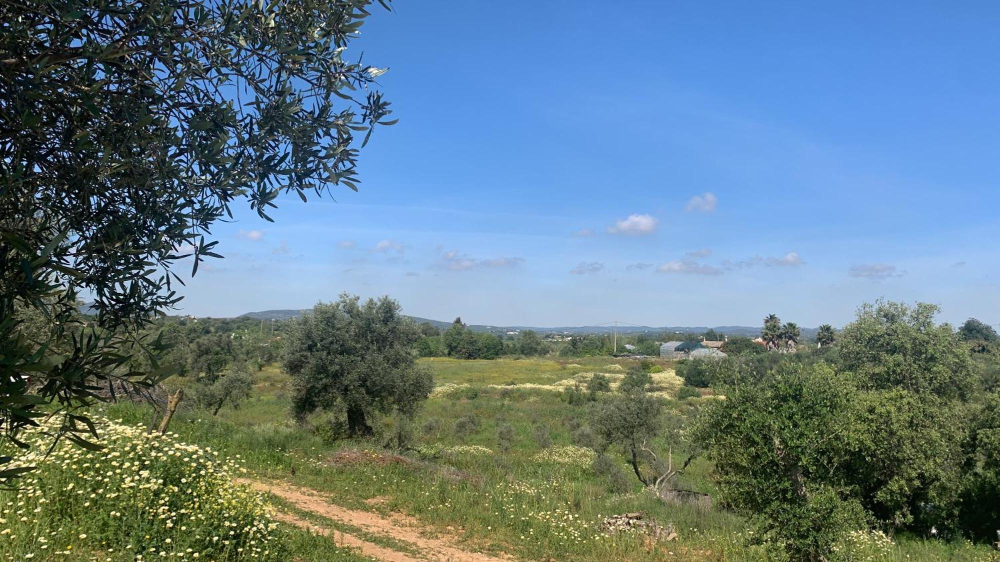 B&B Quinta A Fonte Tavira - Adults Only Екстериор снимка
