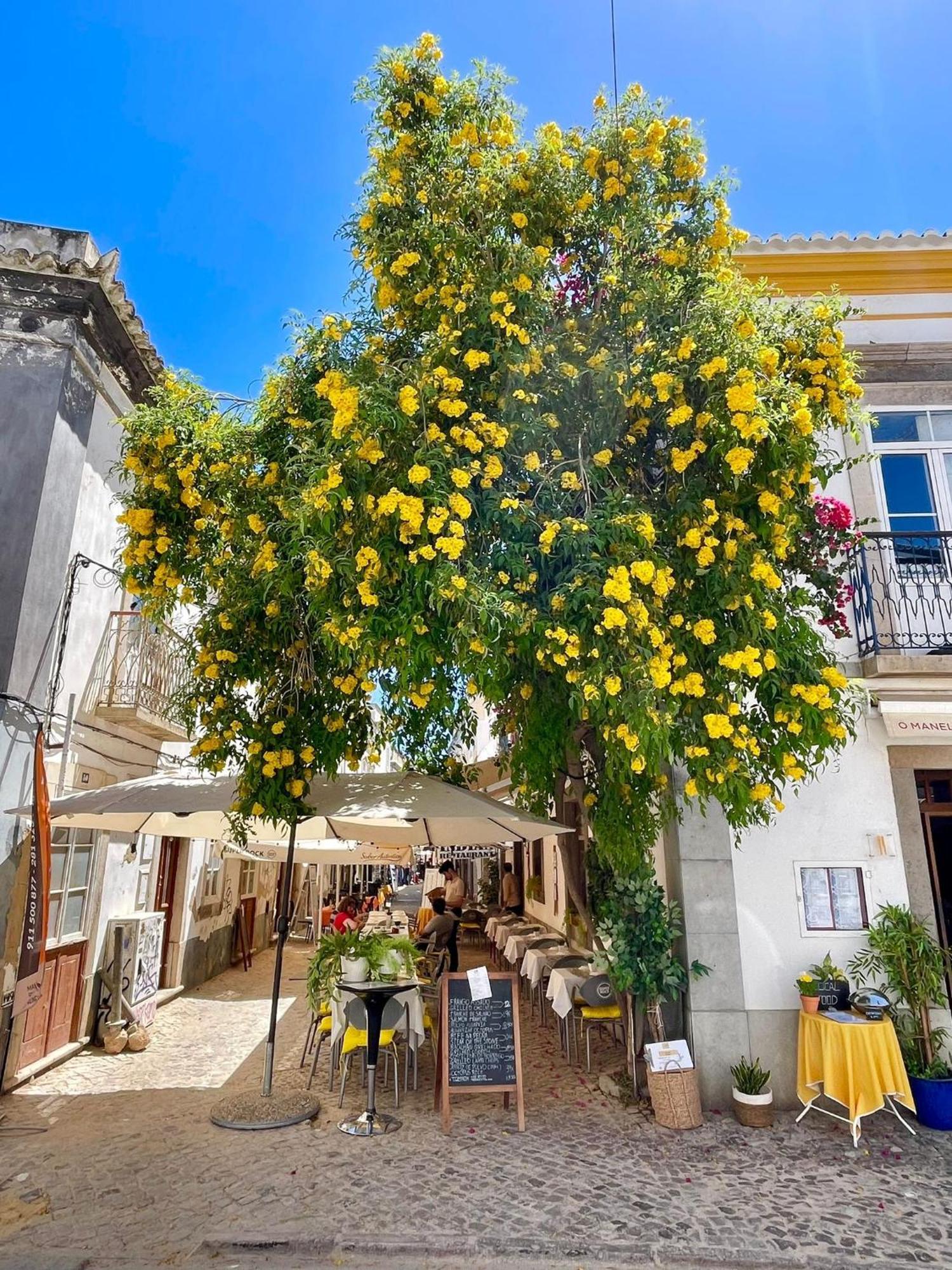 B&B Quinta A Fonte Tavira - Adults Only Екстериор снимка